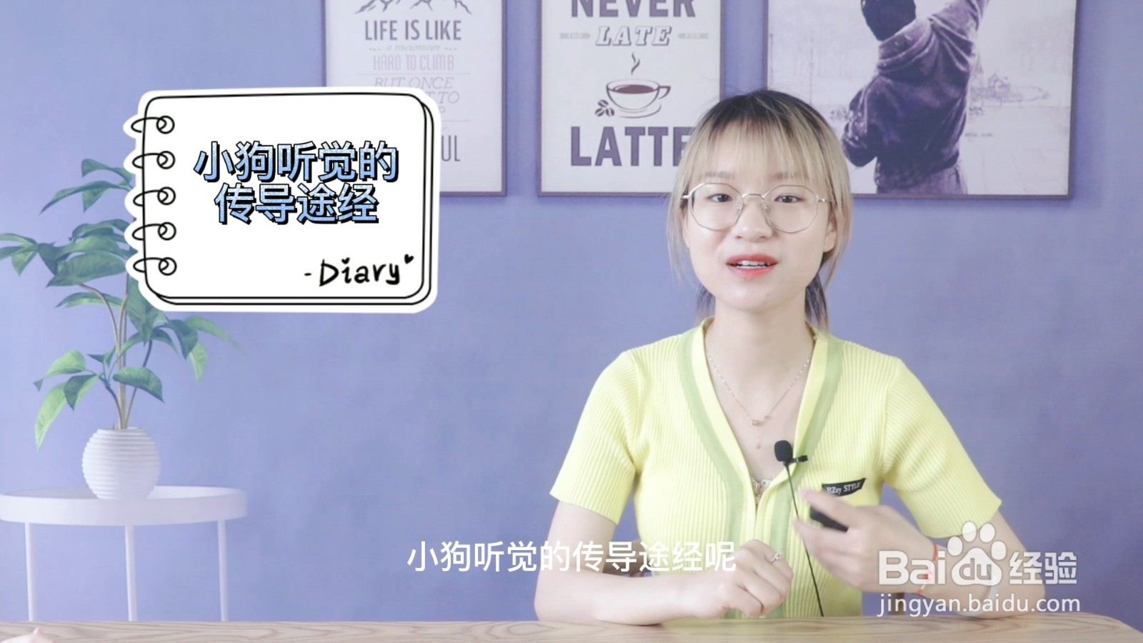 小狗的耳朵有什么特点和作用