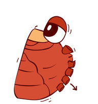 螃蟹的正确吃法，吃干净