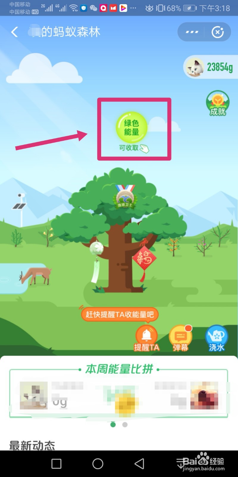 支付宝的能量怎么才能有很多