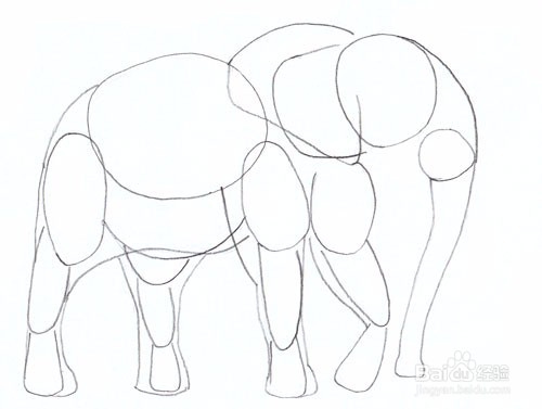 如何画一头大象——加菲的吃货生活