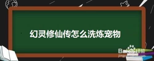 幻灵修仙传怎么洗炼宠物