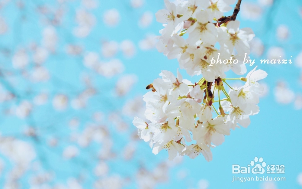 痤疮症状与防治