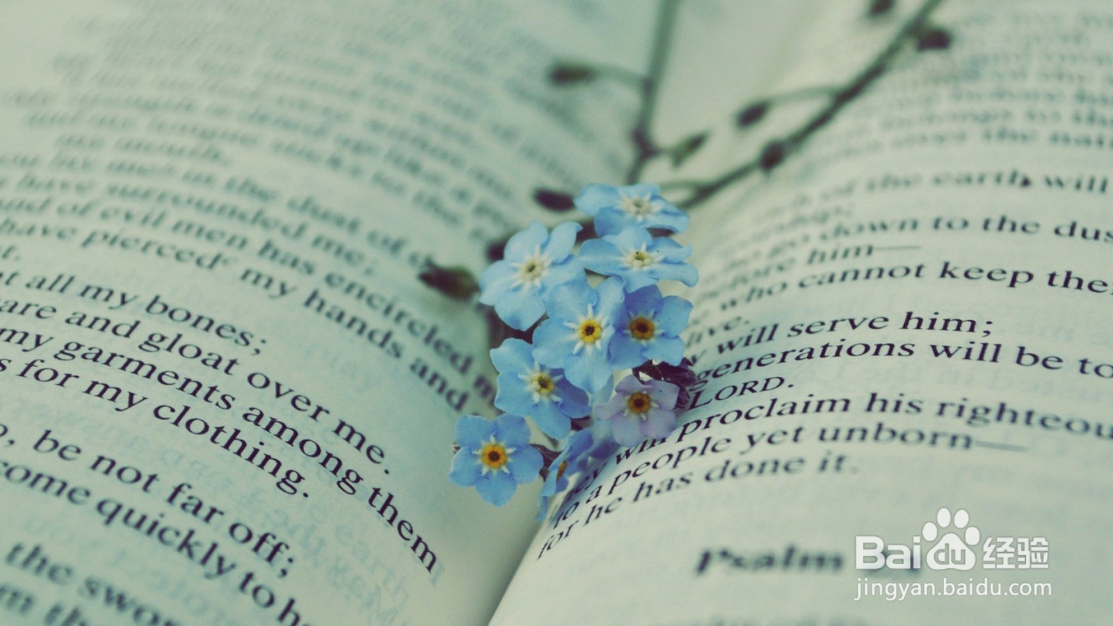 如何从容地接受人生中的变故