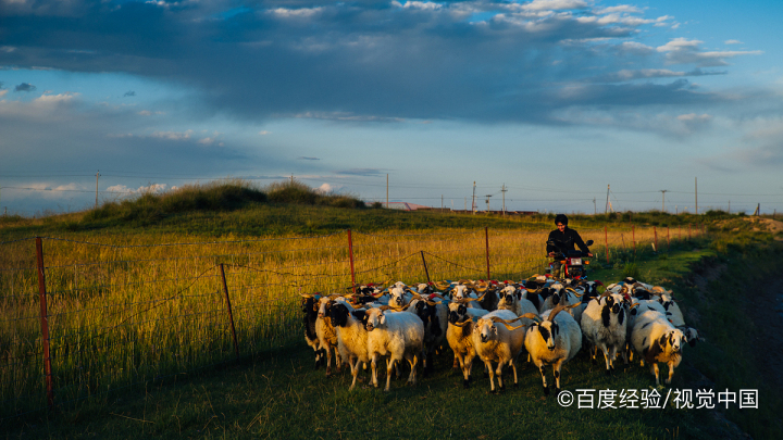 青海湖自驾游路线攻略