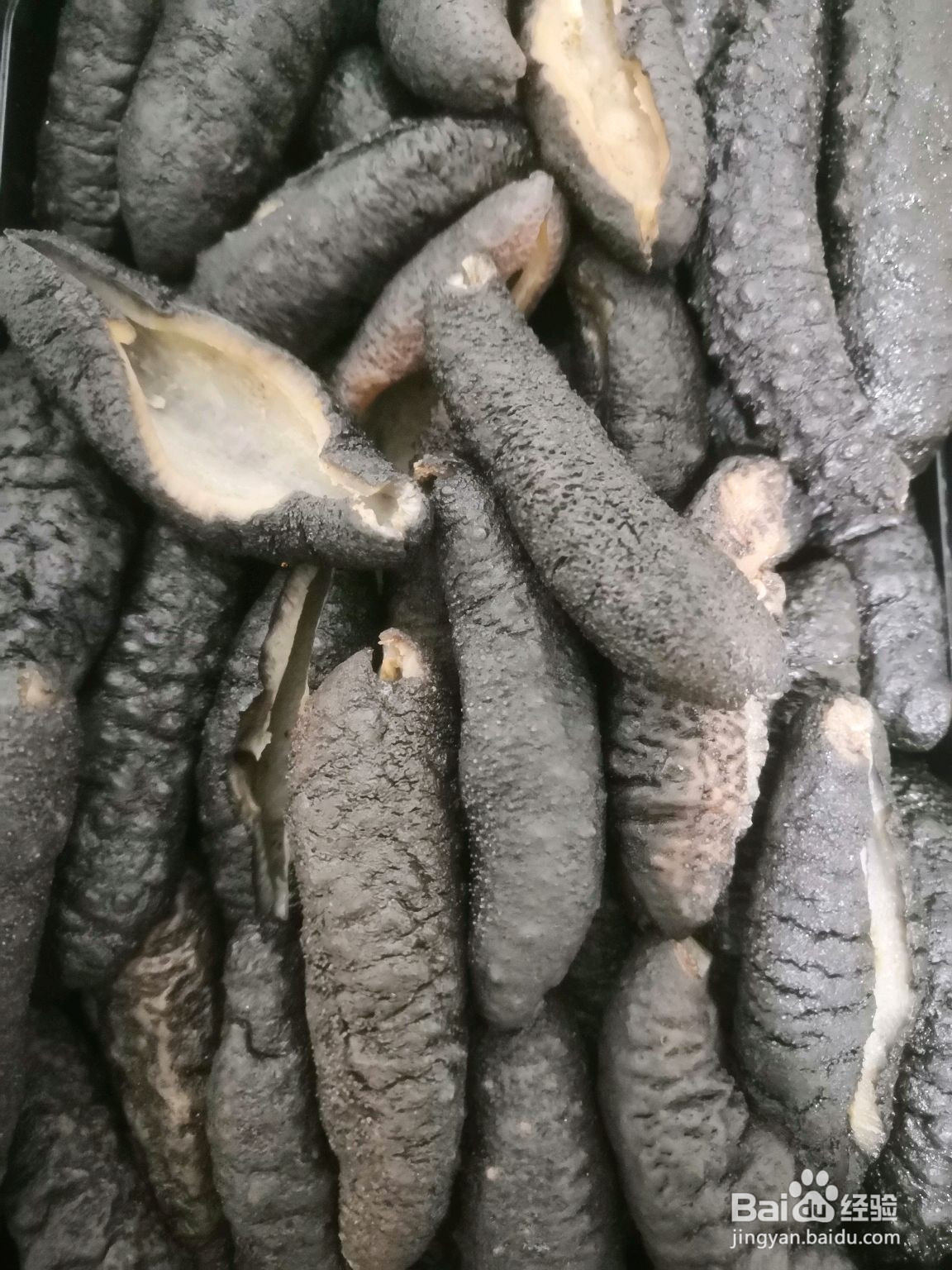 葱烧海参的做法