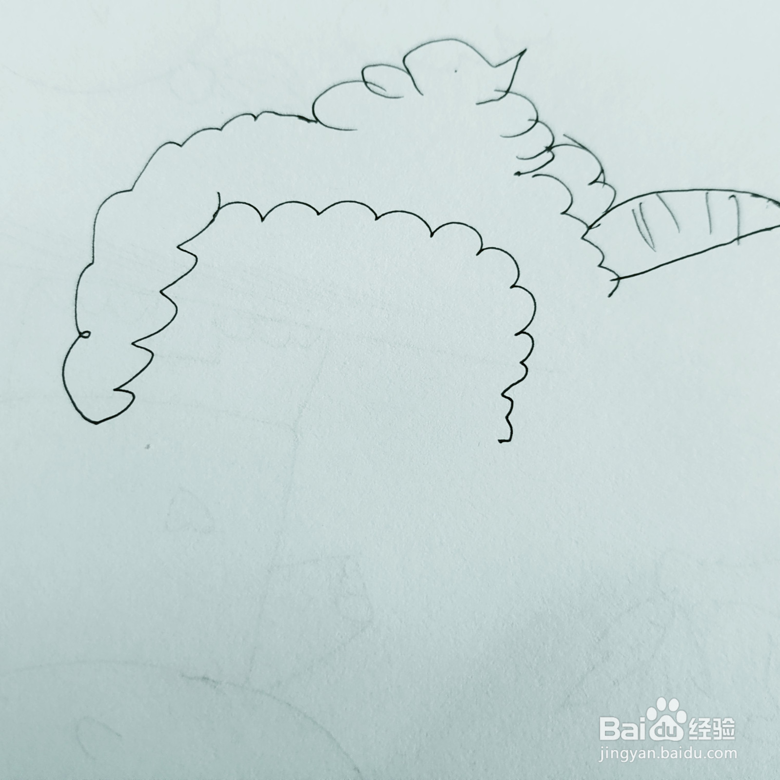 如何来画一只活泼的喜羊羊简笔画呢？