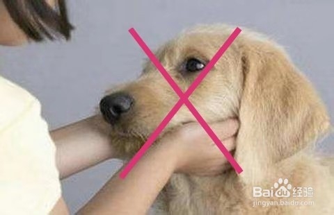 预防新型肺炎的措施