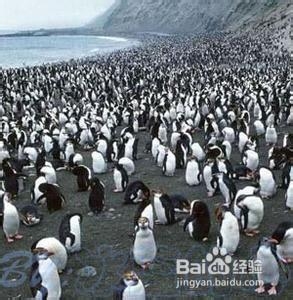 开办公司的注意事项和方法？