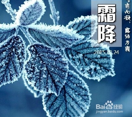 霜降至,怎么保护自己的身体