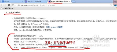 搜索引擎的站内搜索应用详解
