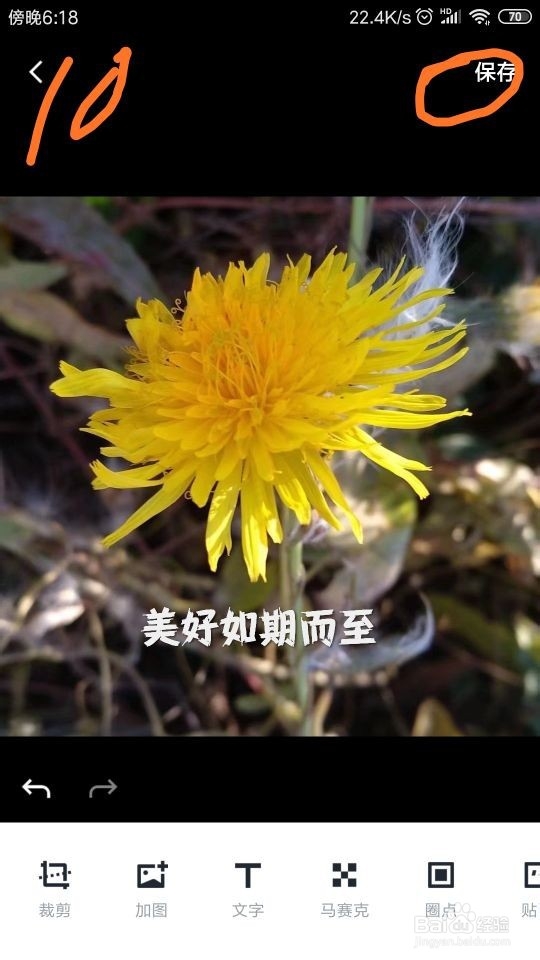 在“稿定设计”中,怎样给图片添加文字