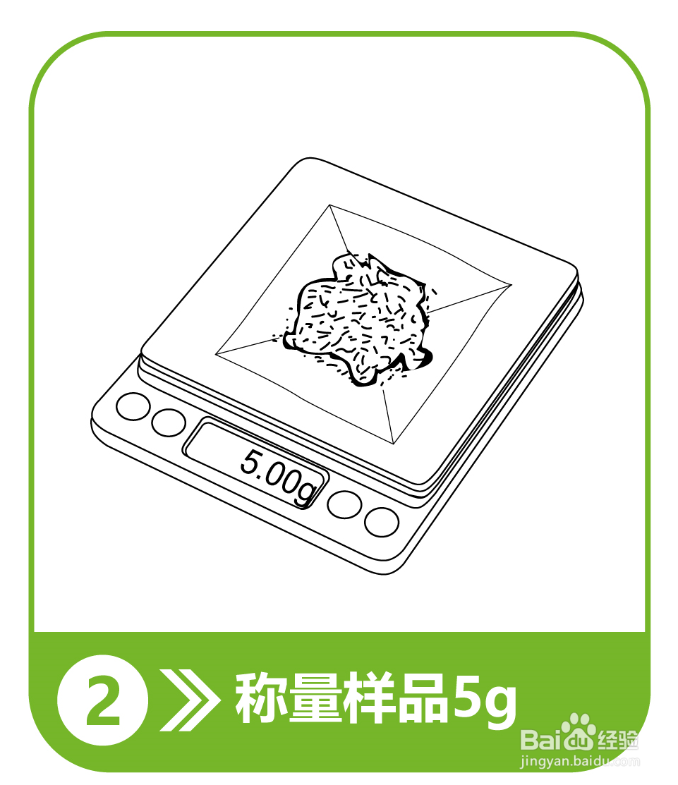 小麦面粉呕吐毒素检测操作流程