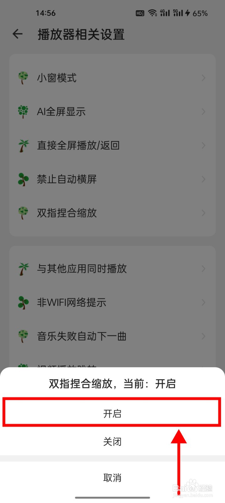 海阔视界怎么启用双指捏合缩放功能