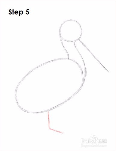 如何画一只鹈鹕——加菲的吃货生活