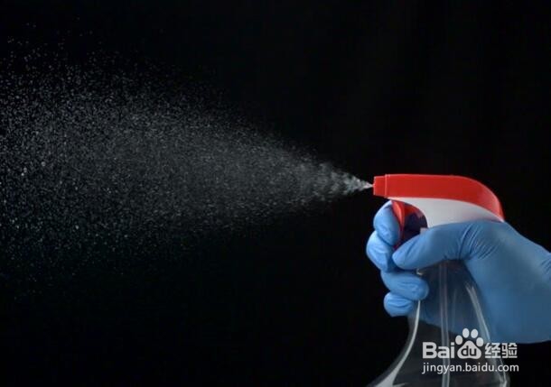 冰菜种植的方法