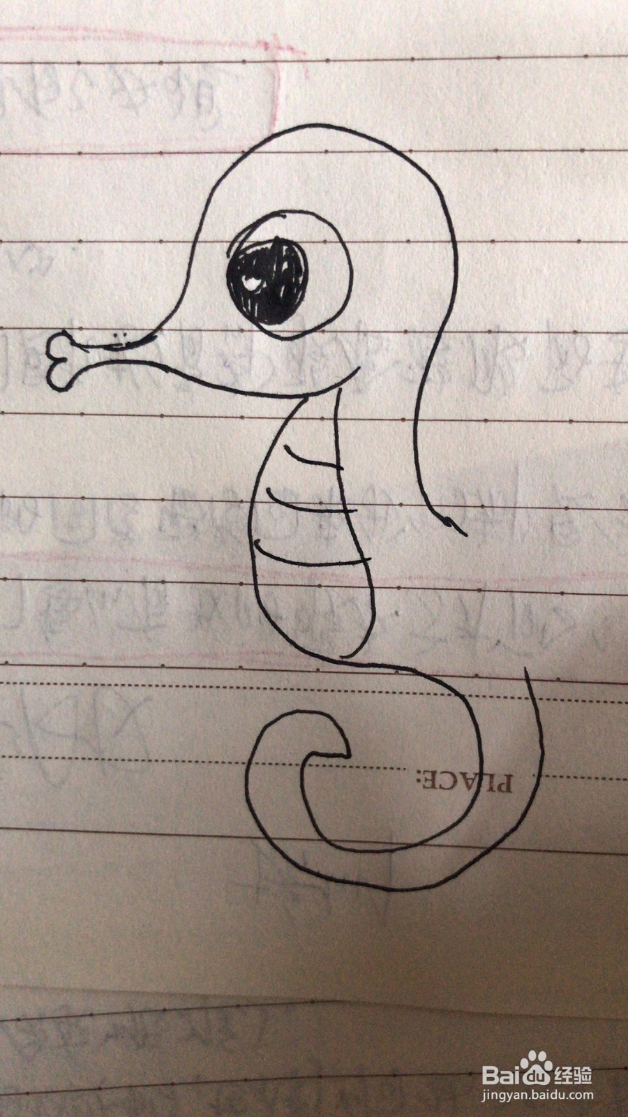 小海马的简笔画