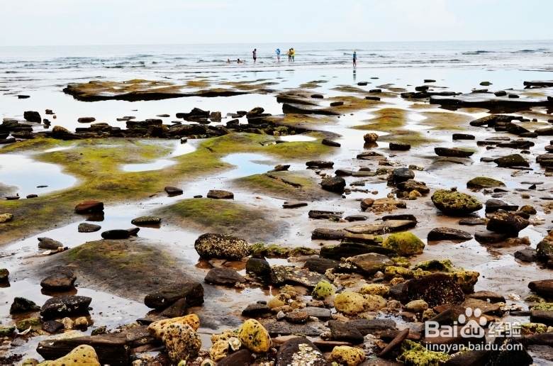 2013涠洲岛旅游攻略