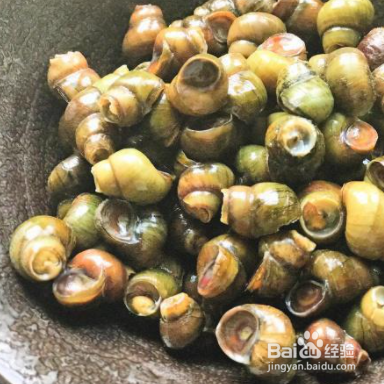 田螺外壳绿藻怎么去除