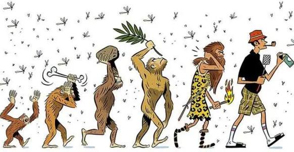 人类为什么不在食物链里