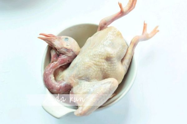 灵芝桂圆鸽子汤