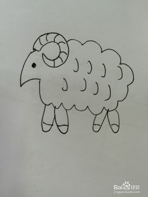 温柔的小绵羊怎么画