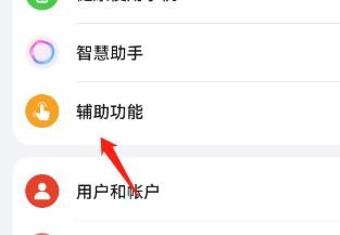 放大手势功能在哪里设置？