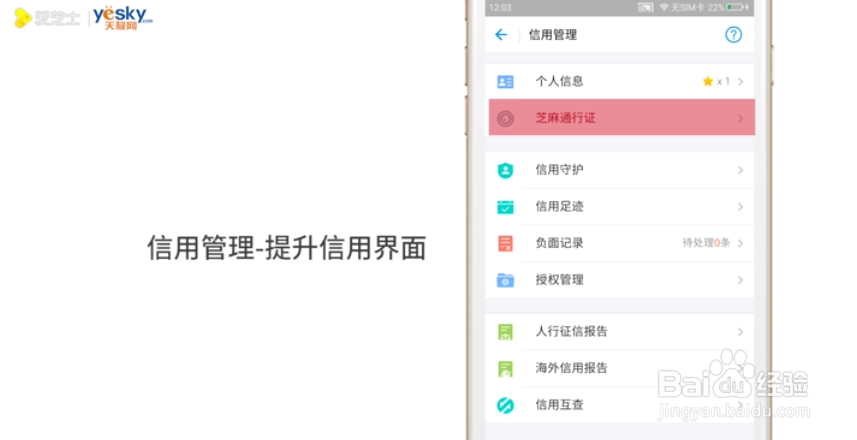 如何提升支付宝花呗额度