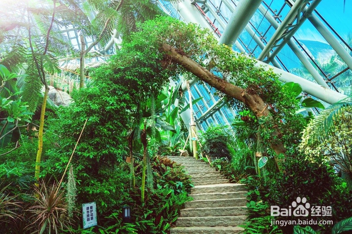 惠州植物园一日游攻略