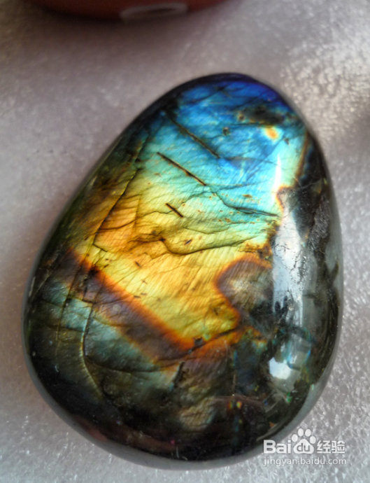 冬天来了，阳台变大棚。