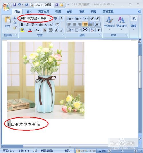 怎样给word中的图片添加注释