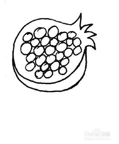 石榴的简笔画