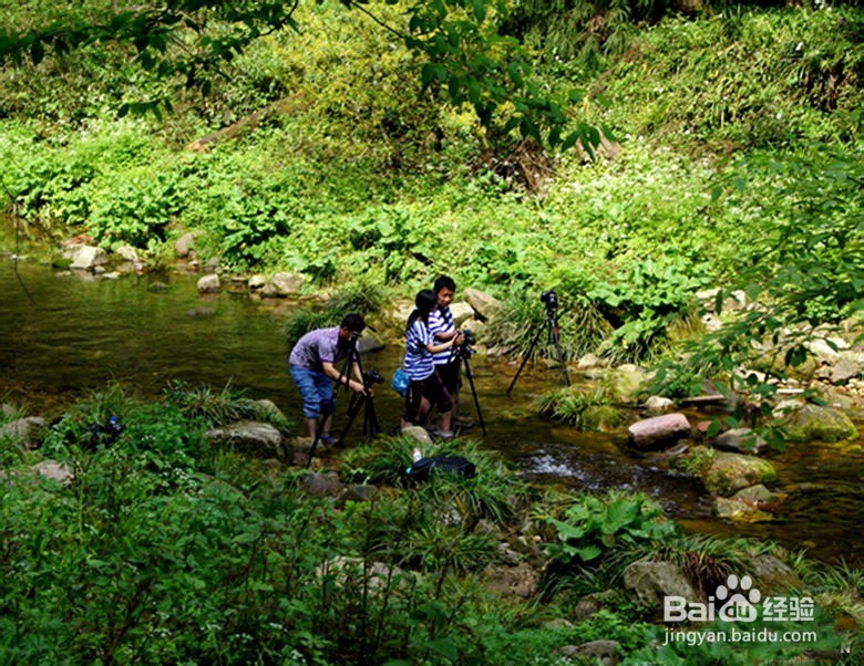 张家界五一自助游攻略