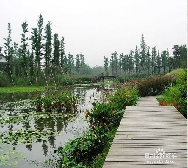 西溪湿地旅游攻略