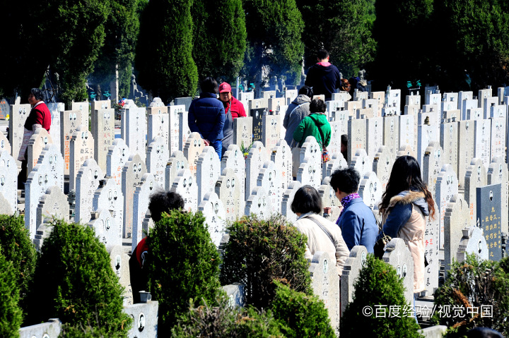 扫墓需要做什么