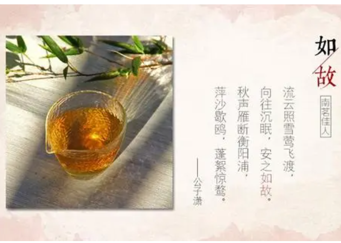 如故是什么意思