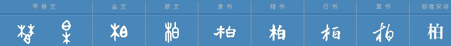 柏在姓中怎么读