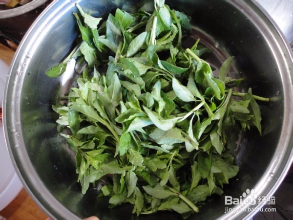 怎么做枸杞头拌虾皮