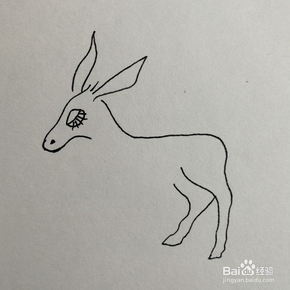 小毛驴儿童简笔画怎么画？