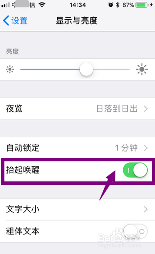 怎样自动点亮IPhone SE手机屏幕？