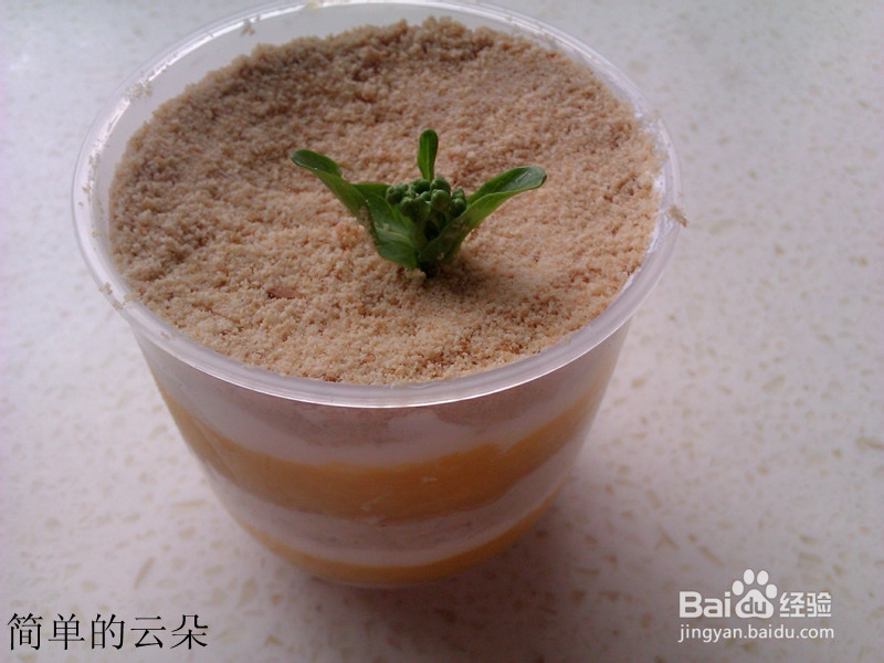 简单芒果木糠的做法