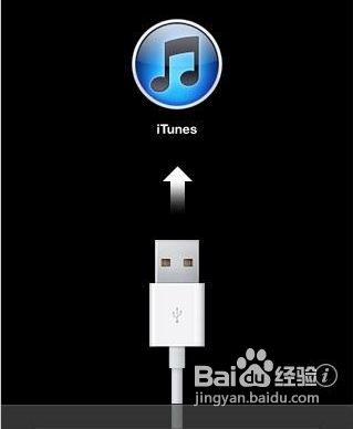 怎样进入DFU模式