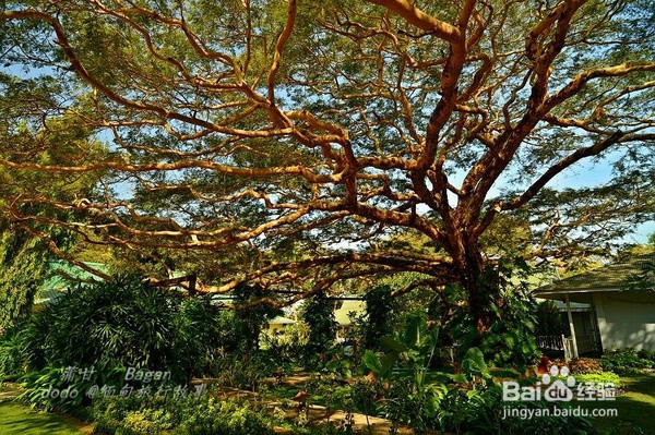 骑行在万千佛塔之缅甸古城：蒲甘