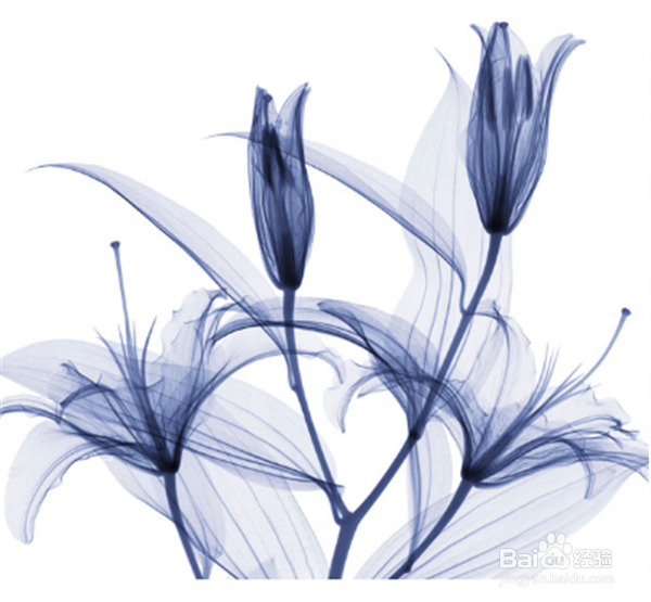 如何与陌生人打交道？