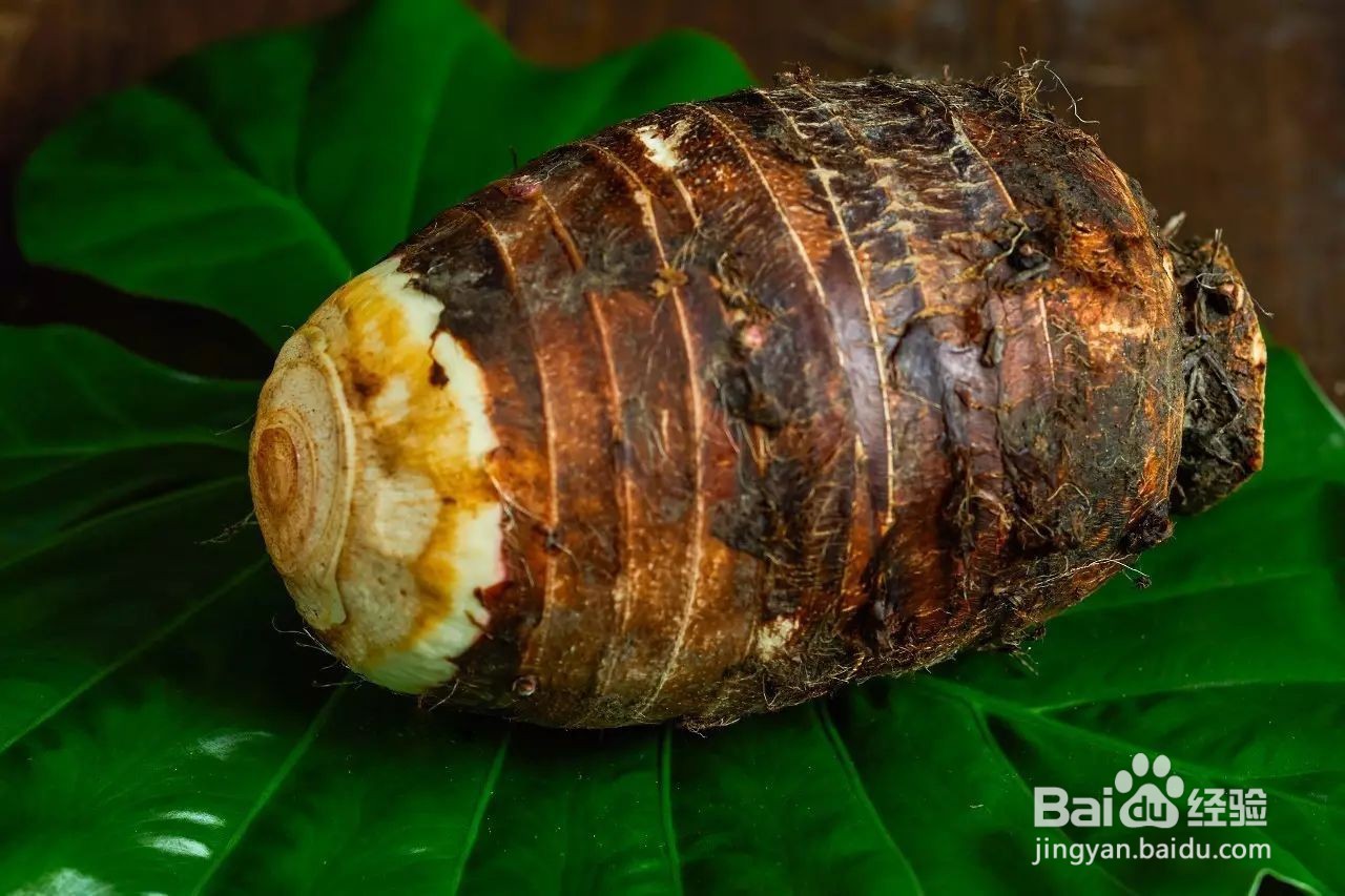 芋头常见病虫害的防治方法