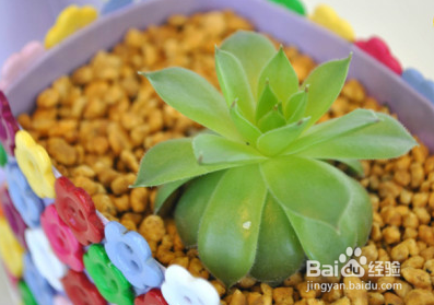 做个爱生活爱创造的女人