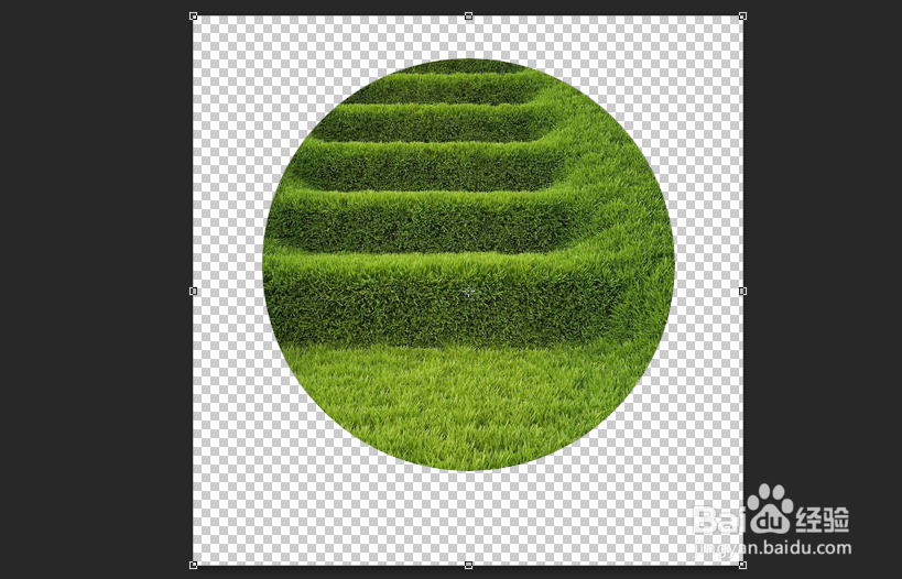 ps如何裁剪圆形图片