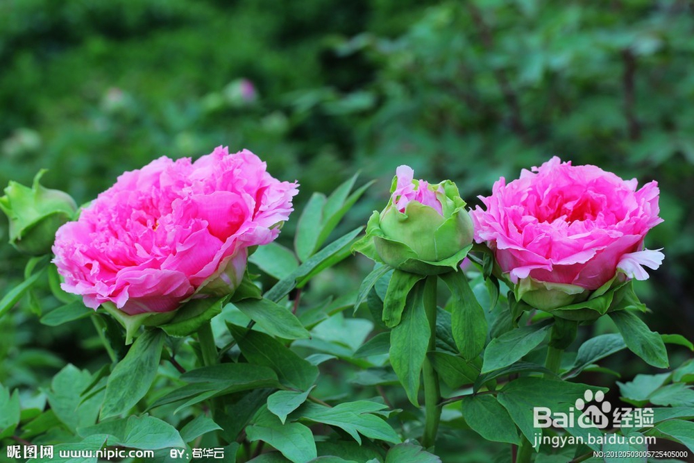 相亲要注意哪些事项？