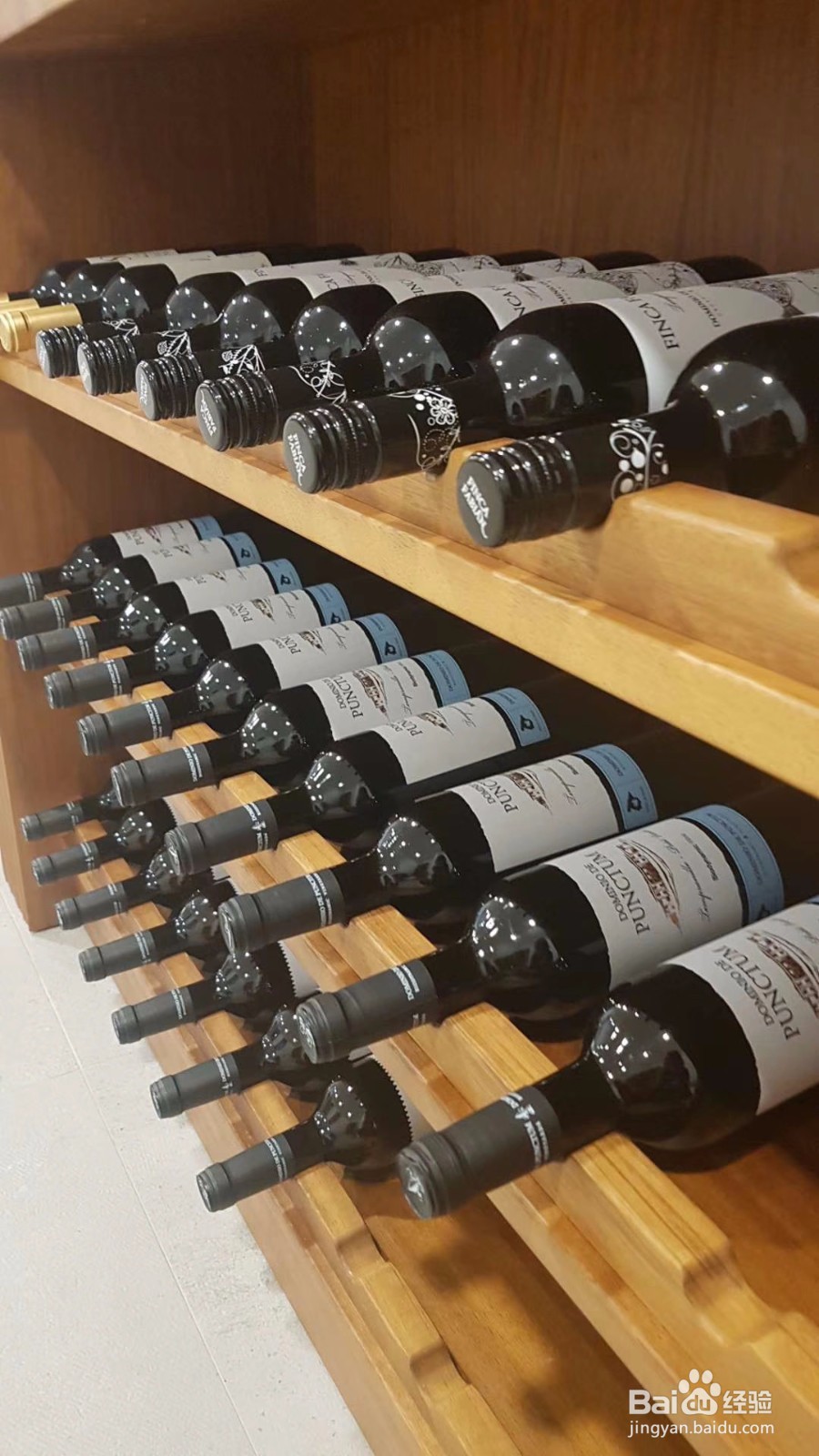 西班牙龙腾堡有机与生物动力酒庄