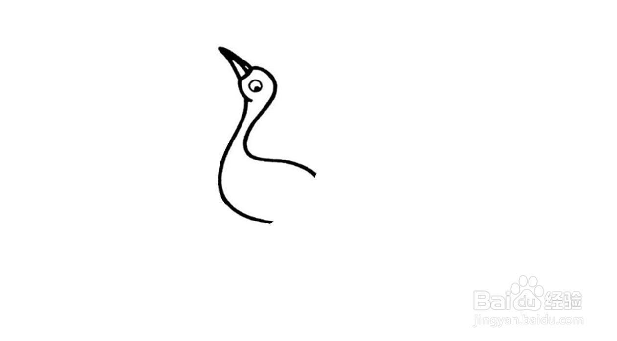 仙鹤简笔画画法分解