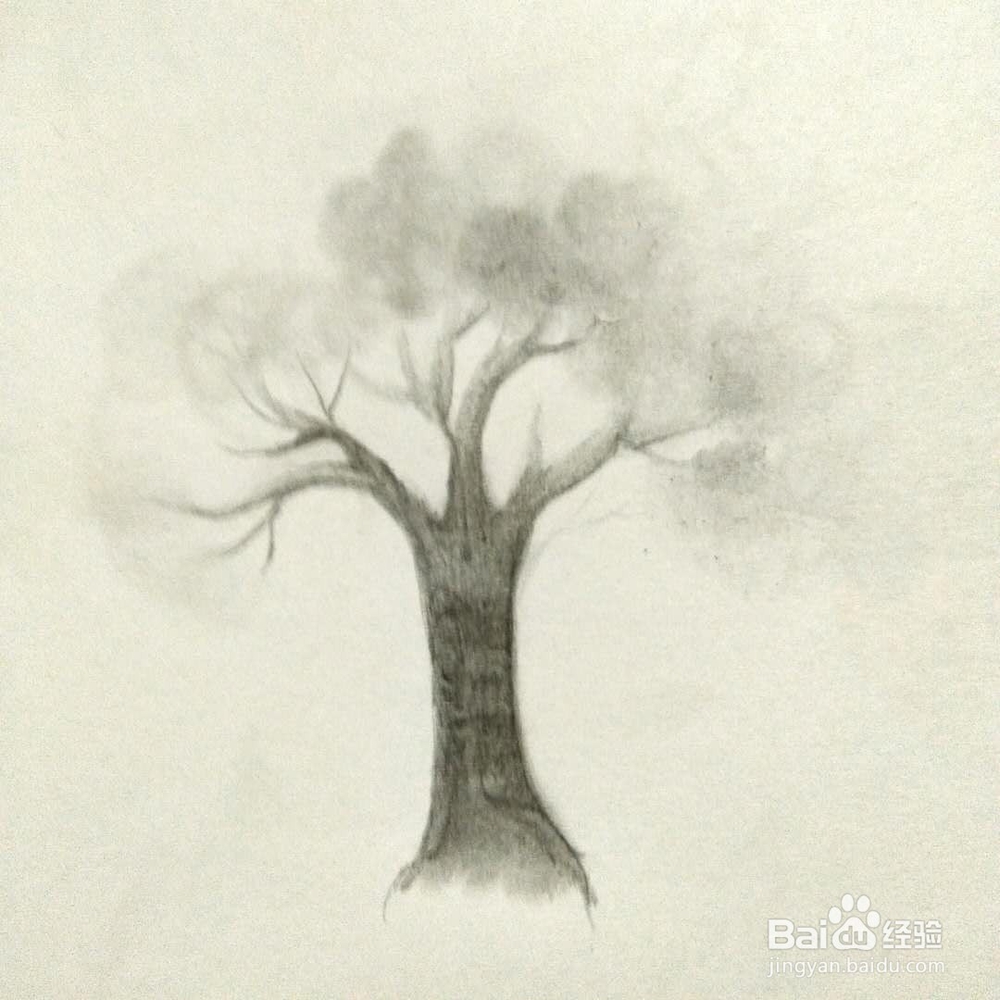 怎样画一颗树？